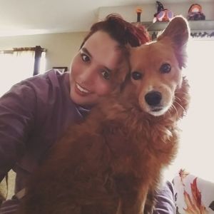 Meet your Posher, Bee